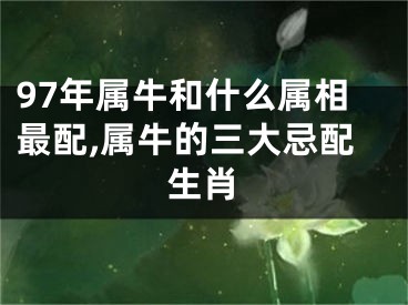 97年属牛和什么属相最配,属牛的三大忌配生肖