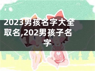 2023男孩名字大全取名,202男孩子名字