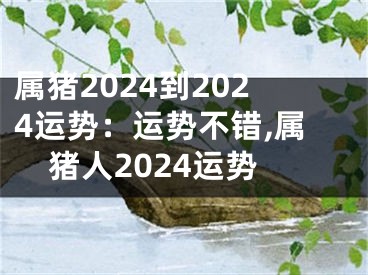 属猪2024到2024运势：运势不错,属猪人2024运势