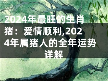 2024年最旺的生肖猪：爱情顺利,2024年属猪人的全年运势详解