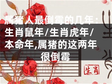 属猪人最倒霉的几年：生肖鼠年/生肖虎年/本命年,属猪的这两年很倒霉
