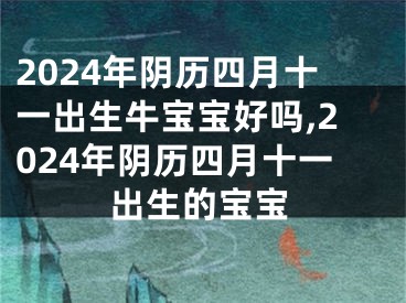 2024年阴历四月十一出生牛宝宝好吗,2024年阴历四月十一出生的宝宝