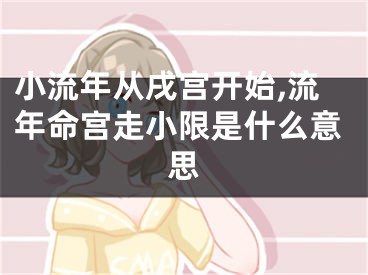小流年从戌宫开始,流年命宫走小限是什么意思