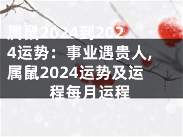 属鼠2024到2024运势：事业遇贵人,属鼠2024运势及运程每月运程