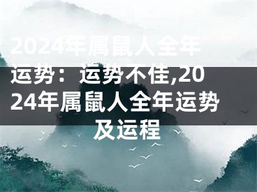 2024年属鼠人全年运势：运势不佳,2024年属鼠人全年运势及运程