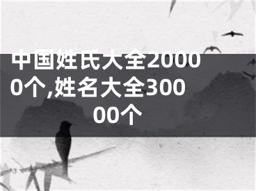 中国姓氏大全20000个,姓名大全30000个
