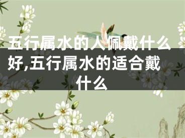五行属水的人佩戴什么好,五行属水的适合戴什么
