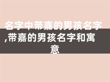 名字中带嘉的男孩名字,带嘉的男孩名字和寓意