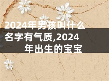 2024年男孩叫什么名字有气质,2024年出生的宝宝