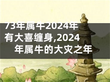 73年属牛2024年有大喜缠身,2024年属牛的大灾之年