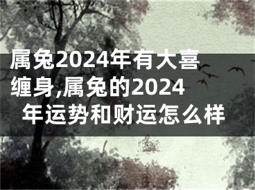 属兔2024年有大喜缠身,属兔的2024年运势和财运怎么样