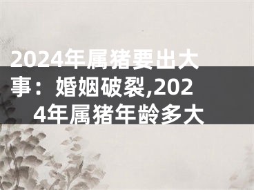 2024年属猪要出大事：婚姻破裂,2024年属猪年龄多大