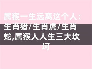 属猴一生远离这个人：生肖猪/生肖虎/生肖蛇,属猴人人生三大坎坷