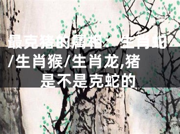 最克猪的属相：生肖蛇/生肖猴/生肖龙,猪是不是克蛇的