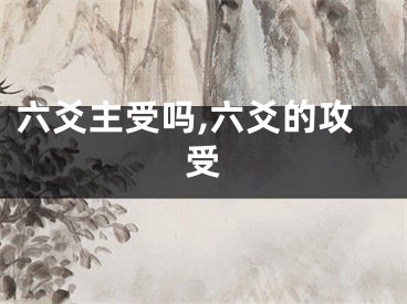 六爻主受吗,六爻的攻受