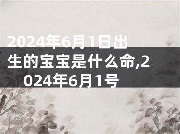 2024年6月1日出生的宝宝是什么命,2024年6月1号