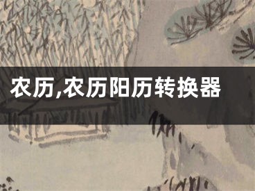农历,农历阳历转换器