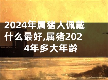 2024年属猪人佩戴什么最好,属猪2024年多大年龄