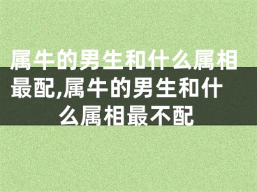 属牛的男生和什么属相最配,属牛的男生和什么属相最不配