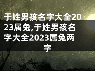 于姓男孩名字大全2023属兔,于姓男孩名字大全2023属兔两字