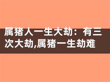 属猪人一生大劫：有三次大劫,属猪一生劫难