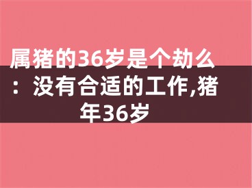 属猪的36岁是个劫么：没有合适的工作,猪年36岁