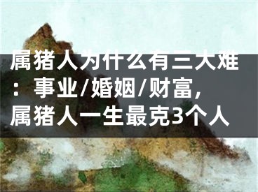 属猪人为什么有三大难：事业/婚姻/财富,属猪人一生最克3个人