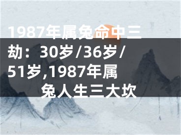 1987年属兔命中三劫：30岁/36岁/51岁,1987年属兔人生三大坎