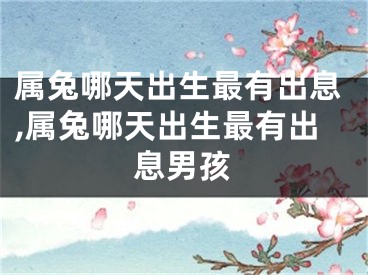属兔哪天出生最有出息,属兔哪天出生最有出息男孩