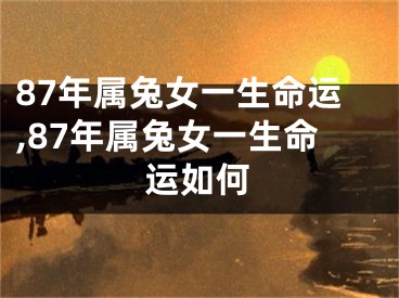 87年属兔女一生命运,87年属兔女一生命运如何