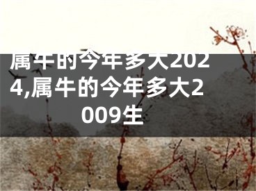 属牛的今年多大2024,属牛的今年多大2009生