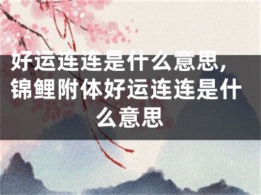 好运连连是什么意思,锦鲤附体好运连连是什么意思