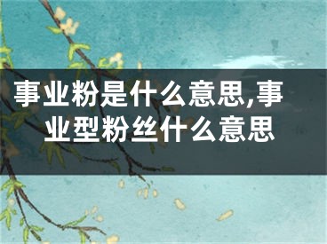 事业粉是什么意思,事业型粉丝什么意思