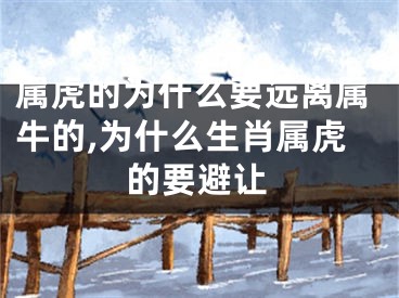 属虎的为什么要远离属牛的,为什么生肖属虎的要避让