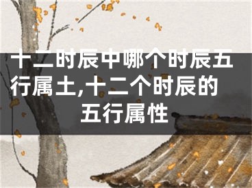 十二时辰中哪个时辰五行属土,十二个时辰的五行属性