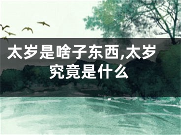 太岁是啥子东西,太岁究竟是什么