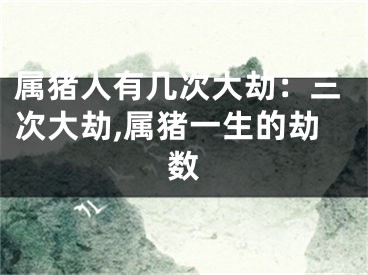 属猪人有几次大劫：三次大劫,属猪一生的劫数