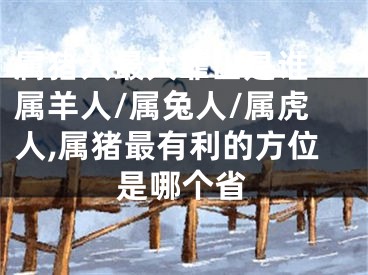 属猪人最大靠山是谁：属羊人/属兔人/属虎人,属猪最有利的方位是哪个省