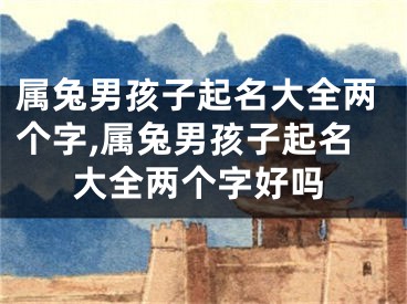 属兔男孩子起名大全两个字,属兔男孩子起名大全两个字好吗