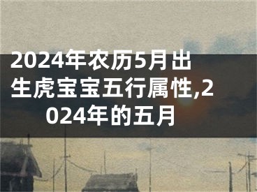 2024年农历5月出生虎宝宝五行属性,2024年的五月