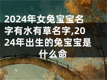 2024年女兔宝宝名字有水有草名字,2024年出生的兔宝宝是什么命
