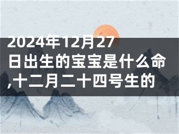 2024年12月27日出生的宝宝是什么命,十二月二十四号生的