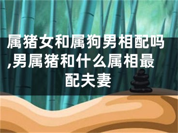 属猪女和属狗男相配吗,男属猪和什么属相最配夫妻