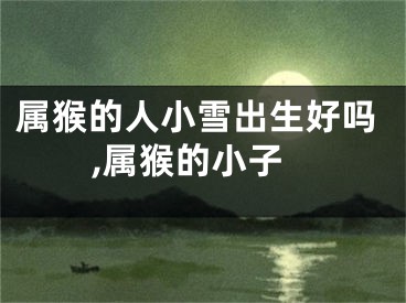 属猴的人小雪出生好吗,属猴的小子