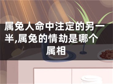 属兔人命中注定的另一半,属兔的情劫是哪个属相