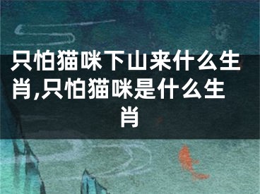 只怕猫咪下山来什么生肖,只怕猫咪是什么生肖