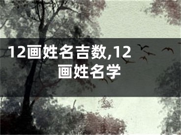 12画姓名吉数,12画姓名学