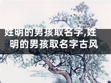 姓明的男孩取名字,姓明的男孩取名字古风