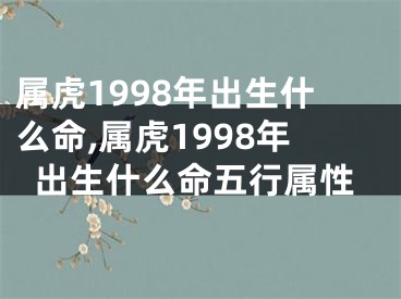 属虎1998年出生什么命,属虎1998年出生什么命五行属性