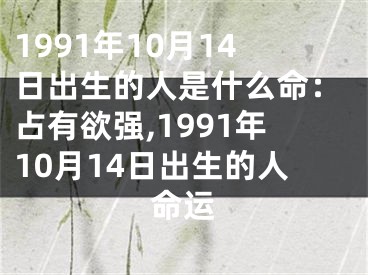 1991年10月14日出生的人是什么命：占有欲强,1991年10月14日出生的人命运
